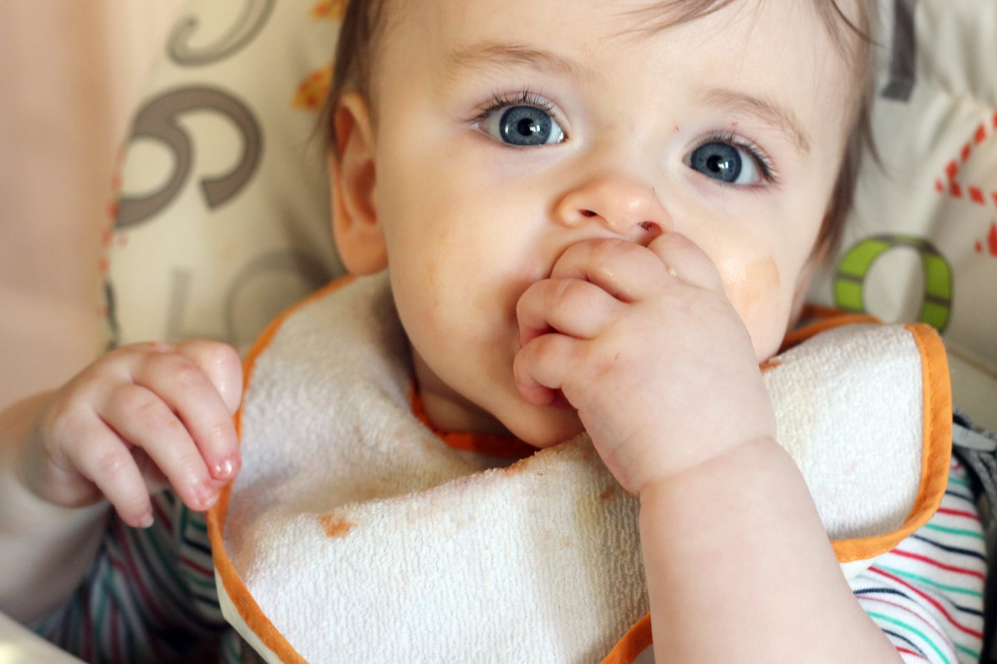 BABY LED WEANING FOR BEGINNERS